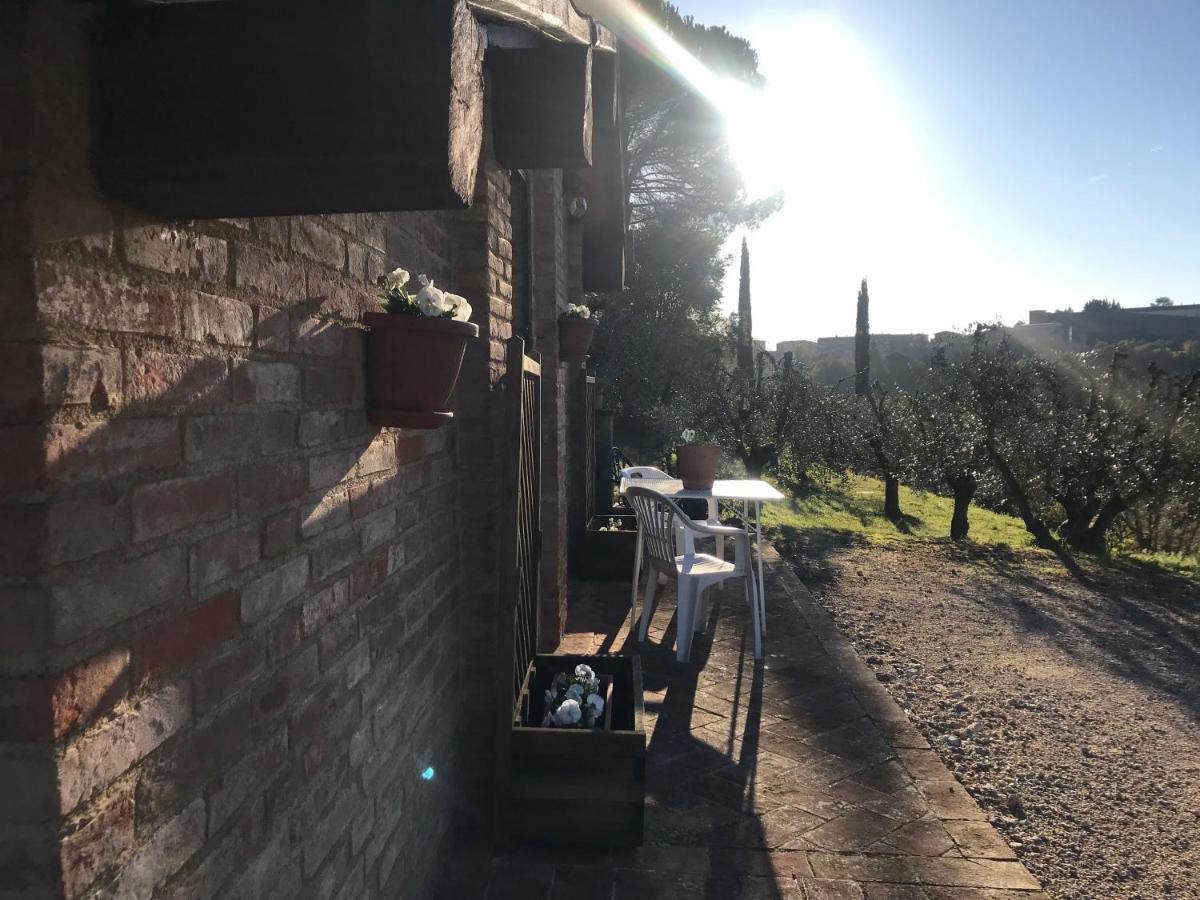 La Perla Tra Gli Ulivi Apartment Siena Exterior foto