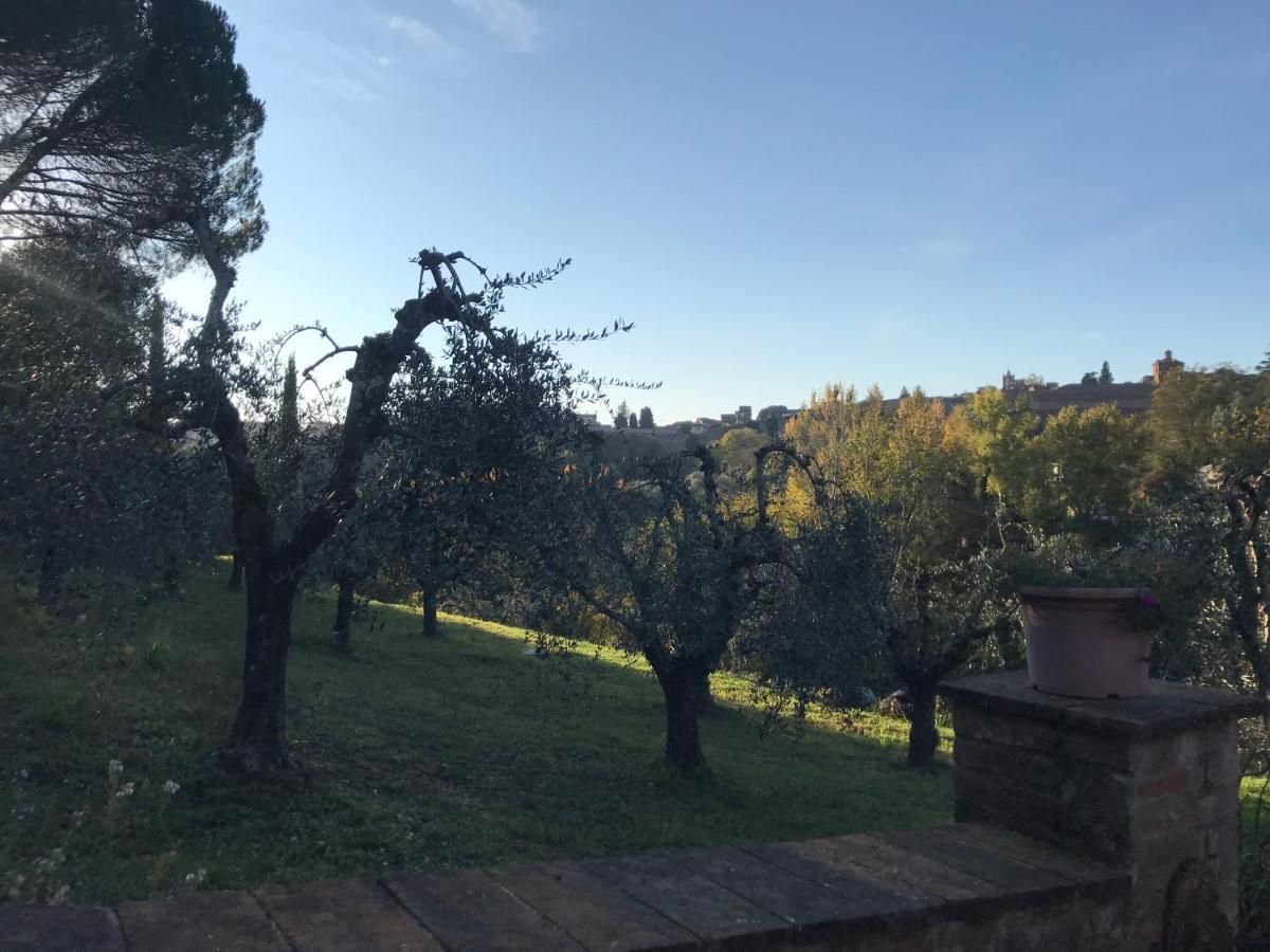 La Perla Tra Gli Ulivi Apartment Siena Exterior foto